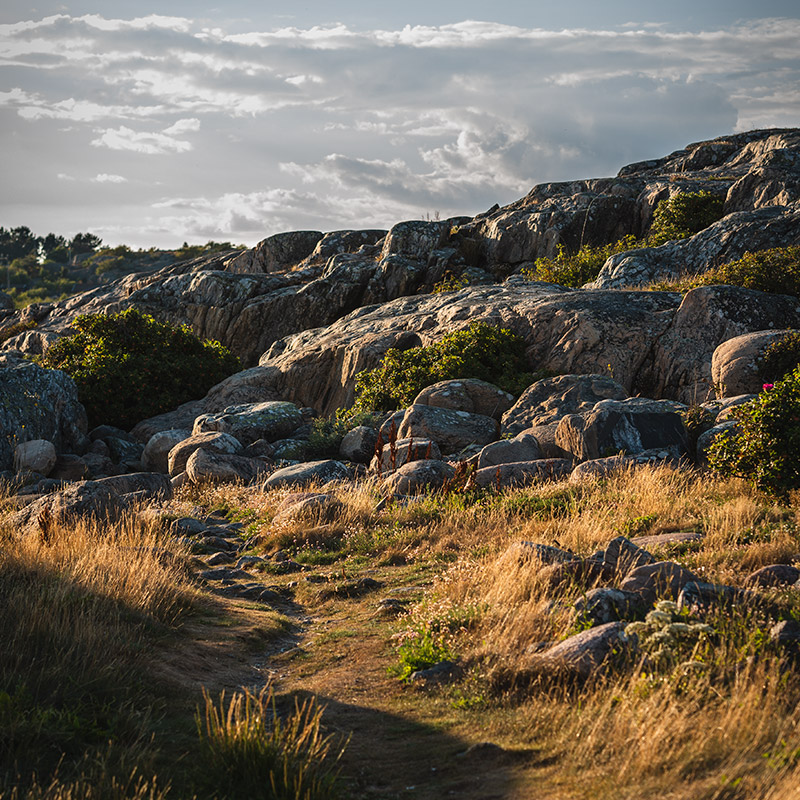Redaktionellt foto / miljö